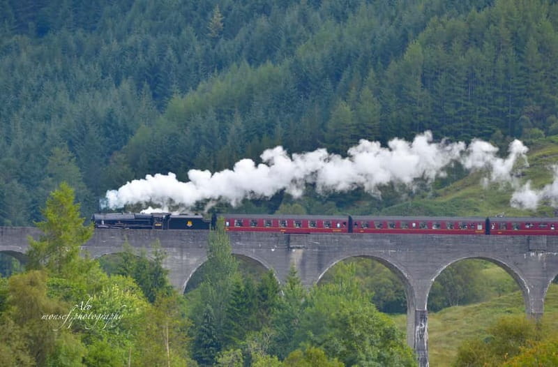 Glenfinnan: Glenaladale cruise, see the train and eagles 2hr - Glenfinnan in two hours, without the long drive headaches