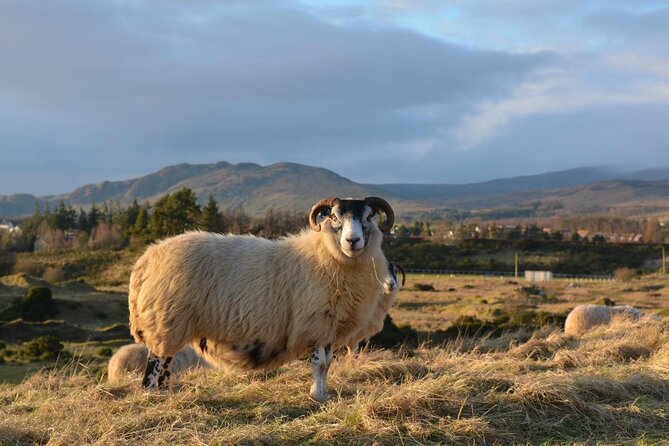 Greenock Ocean Terminal: Loch Lomond & Highland 7 Hr Private Tour - Key Highlights You’ll Feel in Your Day