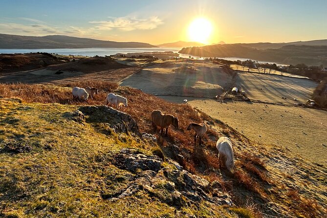 Guided Hebridean Farm Hike near Tobermory, Isle of Mull, Scotland - Karen and the farm lessons that make the hike stick
