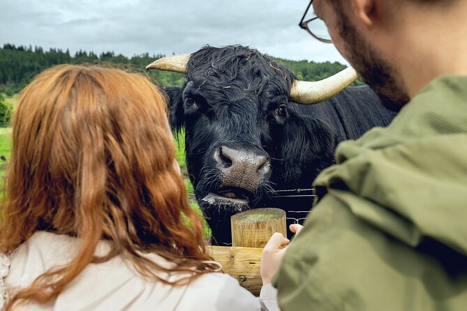 Hairy Coos & Highland Views: A Short Day Escape from Edinburgh - Key things I’d circle before you go