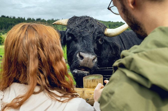 Hairy Coos & Highland Views: A Short Day Escape from Edinburgh - Your fork in the road: Deanston Distillery or Blackness Castle