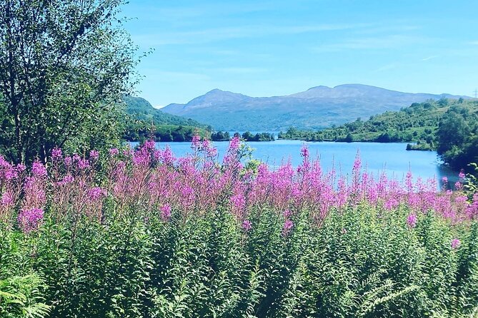 Half Day Loch Katrine Explorer Private Ebike Tour - Effort level, helmets, and the e-bike rules