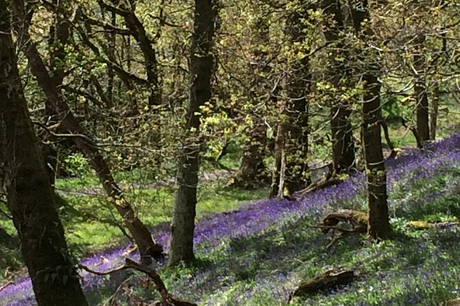 Half Day Loch Katrine Explorer Private Ebike Tour - Make the most of 4 hours 30 minutes on Loch Katrine