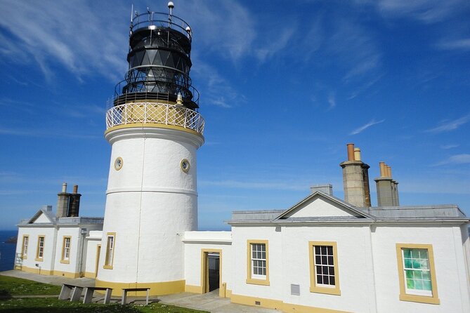 Half Day Private Tour with Puffins, Ponies and Past Shetland - Key highlights worth planning around