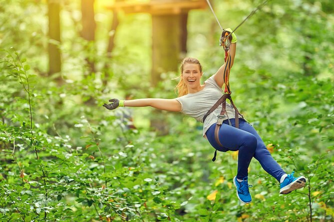 High Ropes and Adventure Tree Top Experience - Key Highlights You’ll Care About