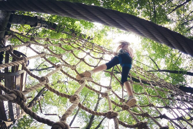 High Ropes and Adventure Tree Top Experience - Why Go Wild Loch Lomond Works So Well