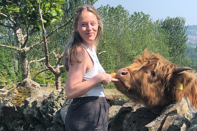 Highland Cows, Walk Alpacas & Scottish Wildlife Centre from Edin. - Comfort and logistics that actually matter on a long day