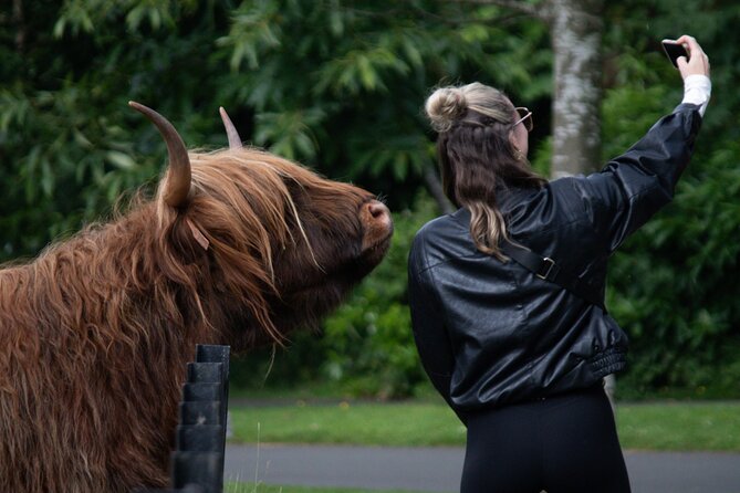 Highlands Cows Glencoe and Castles Private Tour from Edinburgh - Key things that make this tour work