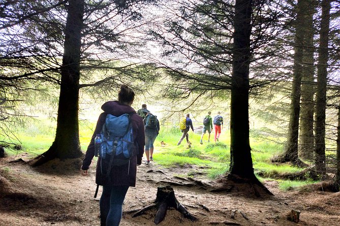 Hill & Nature Hike - Discover Real Edinburgh With a Local Expert - Weather reality: rain, wind, and what to wear so the day stays fun