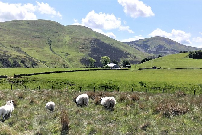 Hill & Nature Hike - Discover Real Edinburgh With a Local Expert - Value and price: is $116.68 a fair deal?