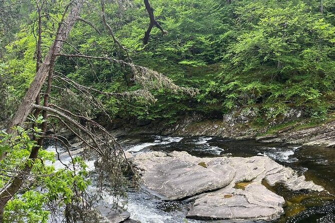 Invergordon or Inverness: Loch Ness Explorer Private Tour - Stop 3: Invermoriston Falls and the salmon-watch summer house