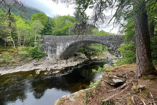 Invergordon or Inverness: Loch Ness Explorer Private Tour - Stop 4: Drumnadrochit for Nessie connections and Great Glen Gin