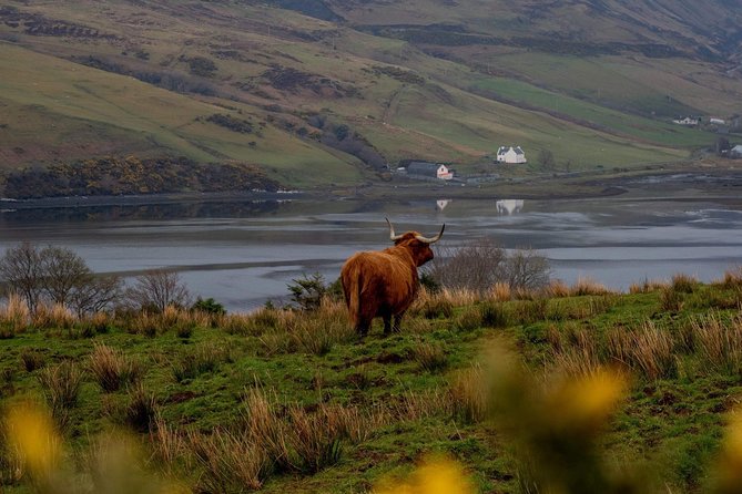 Isle of Skye and the Fairy Pools Tour - How this Skye day trip actually feels, not just what it lists