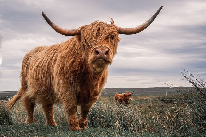 Isle of Skye Day Tour from Fort William - Your itinerary, stop by stop, and how to enjoy each moment