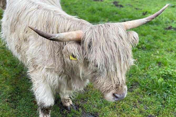 Isle Of Skye Tour Including Fairy Glen Quiraing and Kilt rock - Setting off from Inverness: what a 12-hour Skye day really means