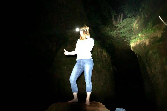 Join the Dark Side of Magical Nature - Key Highlights You’ll Care About