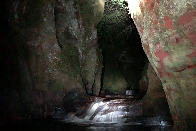 Join the Dark Side of Magical Nature - What You Can Expect to See Around the Water and Rock