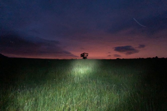Join the Dark Side of Magical Nature - Small-Group Size and Your Guide’s Job (Route, Rhythm, Safety)