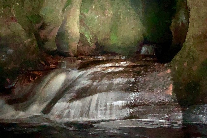 Join the Dark Side of Magical Nature - The Glasgow Pickup, the Drive Out, and How to Read the Night