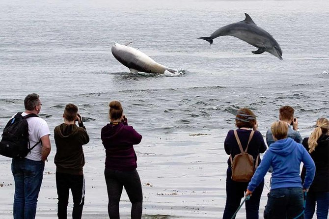 Legendary Tour of the Black Isle from Inverness or Invergordon - Key things to know before you go