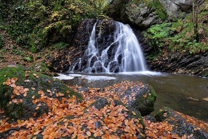 Legendary Tour of the Black Isle from Inverness or Invergordon - Singleton Distillery: a short look at Scotch water, stills, and local wells