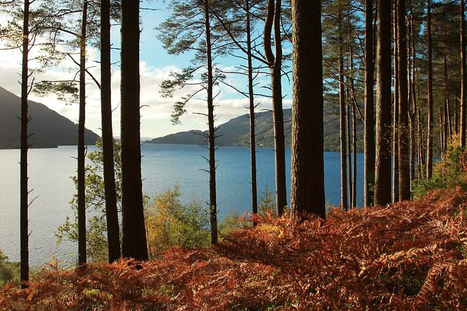 Loch Lomond, Kelpies & Stirling Castle Tour Including Admission - Stirling Castle with admission included, so you can focus inside