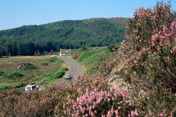 Loch Lomond National Park & Stirling Castle Full Day Tour - Key highlights worth marking on your map