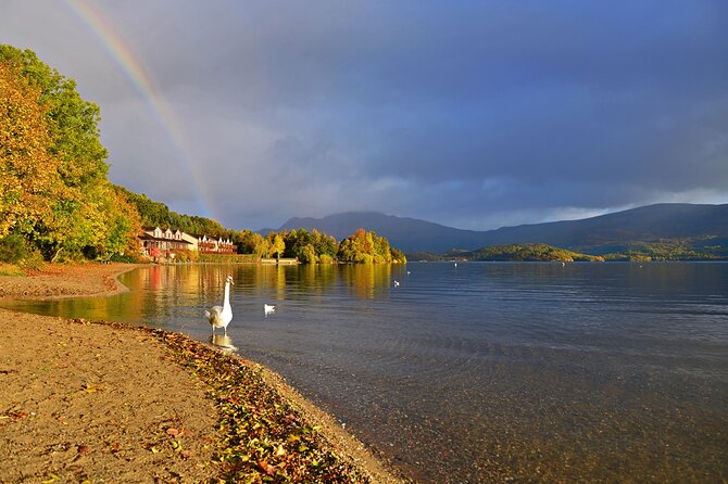 Loch Lomond National Park & Stirling Castle Full Day Tour - Balloch: cruise the Loch or linger in Balloch Country Park