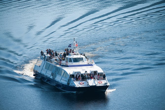 Loch Ness 1-Hour Cruise with Urquhart Castle Views - The Nessie hunt: sonar plus commentary, not just folklore