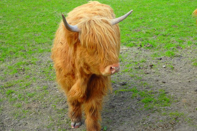 Loch Ness & Culloden Battlefield Private Tour from Inverness - Beauly lunch break: a medieval burgh break from the road