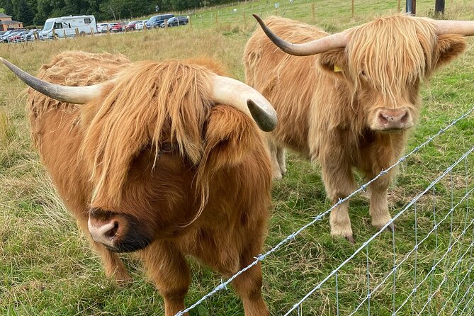 loch Ness, Inverness and Outlander Sites From Invergordon Port - Great Glen Distillery: a gin stop that fits the Highlands