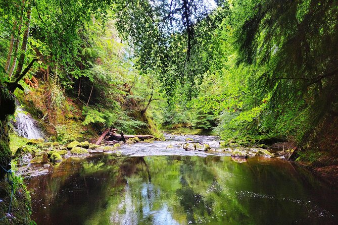 North Day Tour: Dunrobin Castle, Glenmorangie, Dornoch and More - Loch Fleet National Nature Reserve: a short stop with seal potential