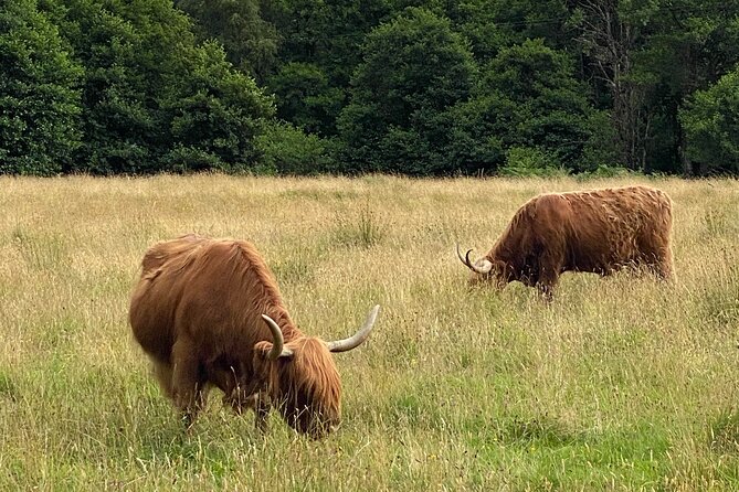 Private Day trip to Loch Ness and Scottish Highlands via Glencoe - Key highlights