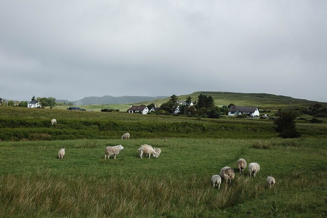 Private Day trip to Loch Ness and Scottish Highlands via Glencoe - Dalwhinnie Distillery stop, pay attention to entry fees