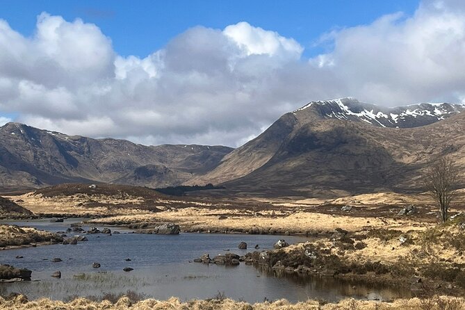 Private Guided Day Tour in Scottish Highlands - Trossachs Visitor Centre and Highland Cows You Can Feed (15 Minutes)