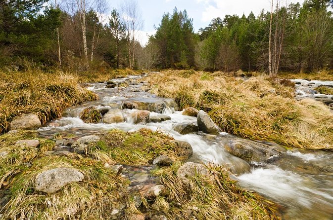 Private Guided Winter Mountaineering Experience in the Cairngorms - Key takeaways before you go