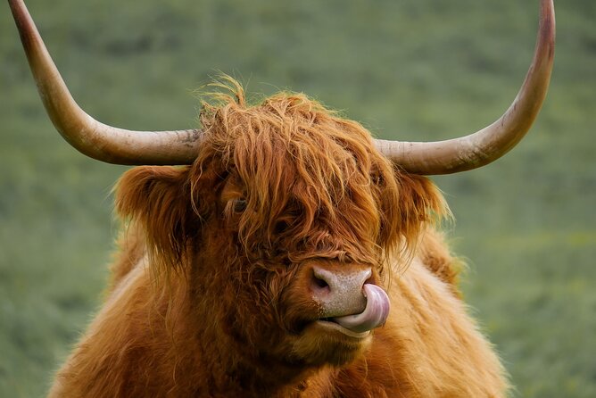 Private Luxury Mini Highlands Tour From Edinburgh - Braveheart - How the timing works in a 6 to 9 hour day