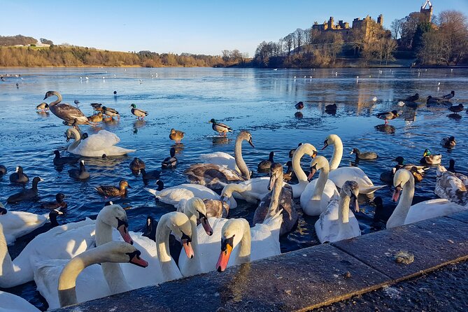 Private Luxury Tour of Loch Lomond, Glencoe & The Highlands - Glencoe and Rannoch Moor: rugged scenery with room for pull-offs