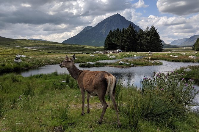 Private One Day Highlands Tour of Scotland - What You Really Get for the Price (And What You Pay Extra For)