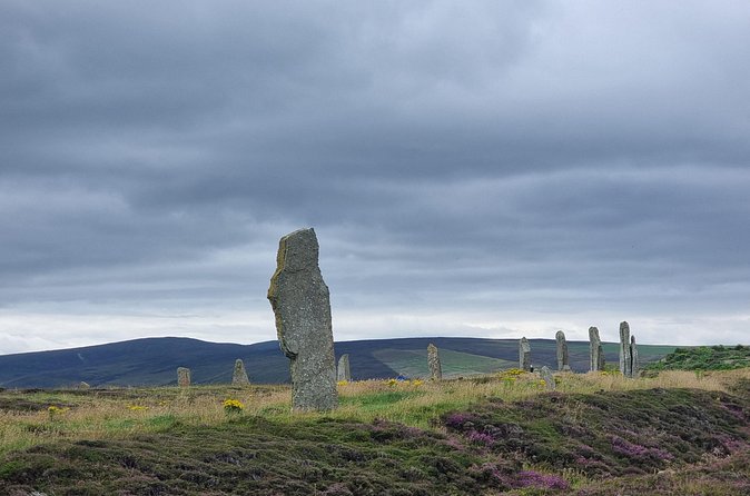 Private Tour Discover Orkney with Pick-Up - Yesnaby Cliffs for Views, Birds, and Maybe Cetaceans