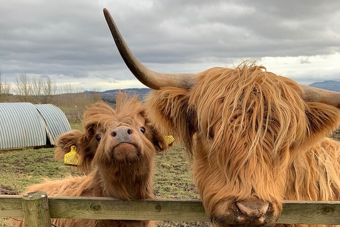 Private Tour Loch Lomond Stirling and the Kelpies from Glasgow - Doune Castle for Outlander, Game of Thrones, and Monty Python fans