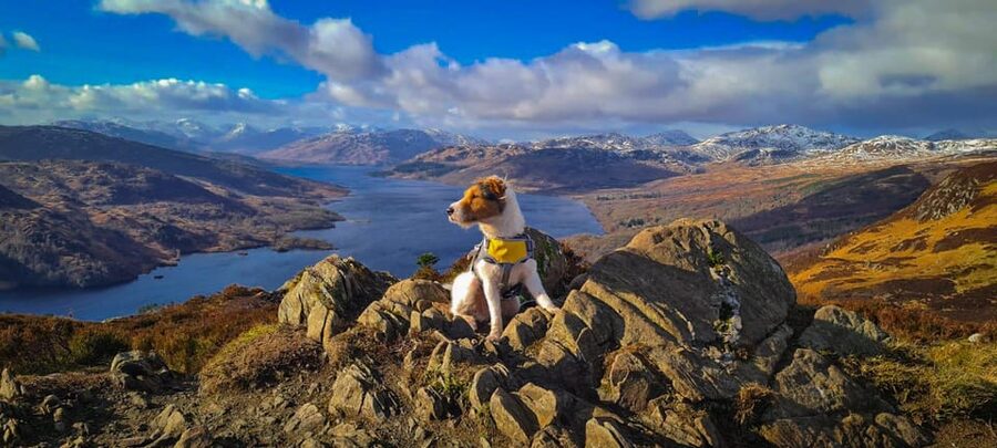Private Tour of Highlands, Lochs & Castles from Edinburgh - Rest and Be Thankful, Loch Lomond Backroads, and the Inveraray Castle Stage