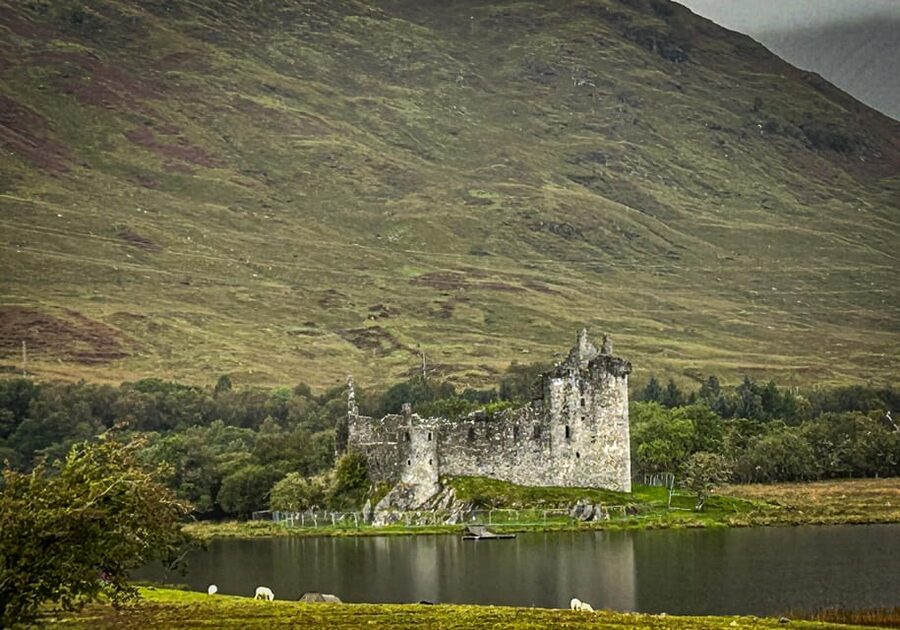 Private Tour of Highlands, Lochs & Castles from Edinburgh - Craigie’s Farm: Where the Day Starts With Highland Cows and Snacks