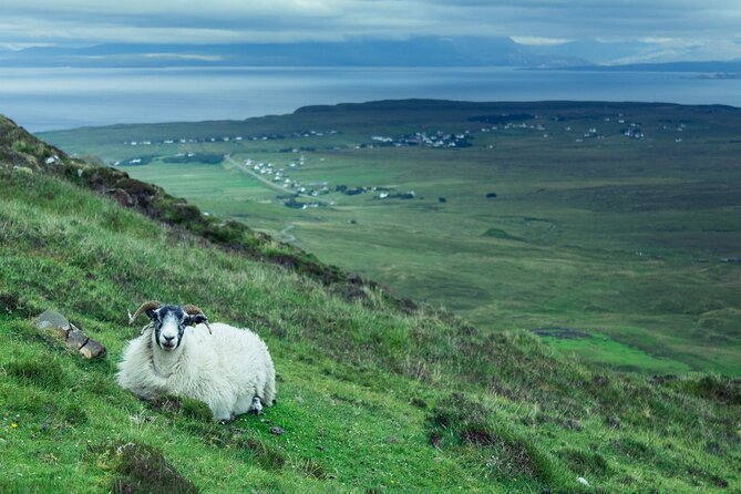 Private Tour of Loch Ness, Glencoe and Highlands from Glasgow - Dalwhinnie Distillery: whisky country with high-altitude bragging rights