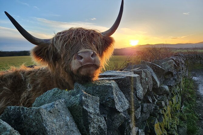 Private Tour of the Scottish Highlands from Edinburgh - Key things that make this tour work well