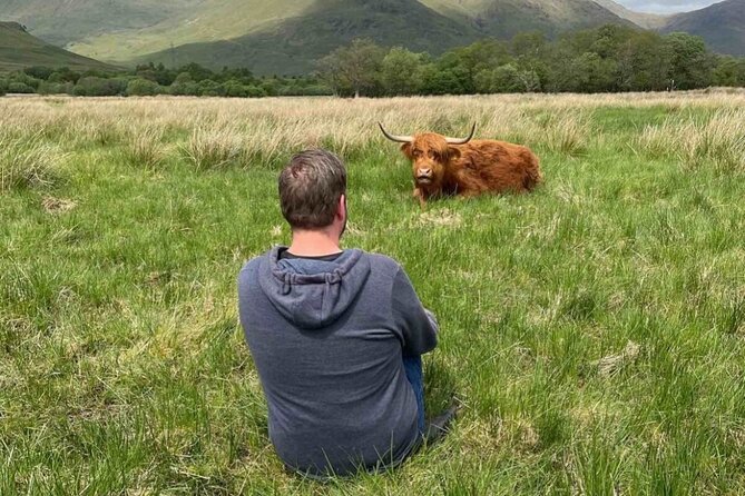 Private Tour to the Stunning Scottish Highlands & Glencoe - Price and value: what $1,091 for up to 4 people really buys