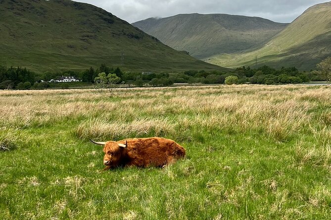 Private Tour to the Stunning Scottish Highlands & Glencoe - Comfort, timing, and what to pack for a long drive day