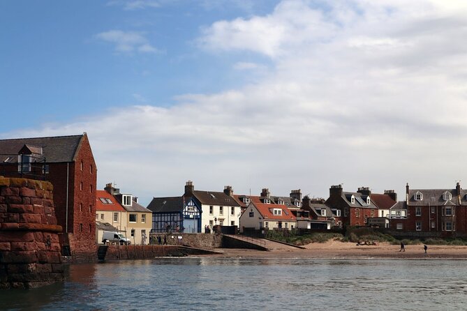 Puffin Boat Trip & Tantallon Castle Day Trip from Edinburgh - Small-Group Comfort, Nut-Free Zones, and Weather Rules That Matter