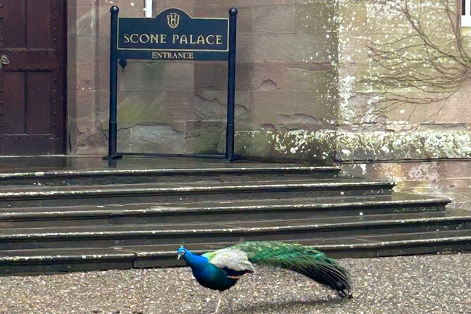 Scone Palace, Nature, Pitlochry, Whisky Experience from Glasgow - A private 9-hour Glasgow-to-Perthshire day with smart pacing