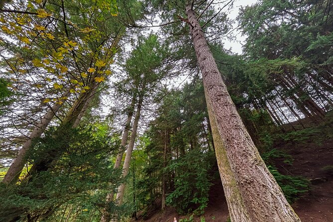 Scone Palace, Nature, Pitlochry, Whisky Experience from Glasgow - Price and value: what $680.53 per group really buys you